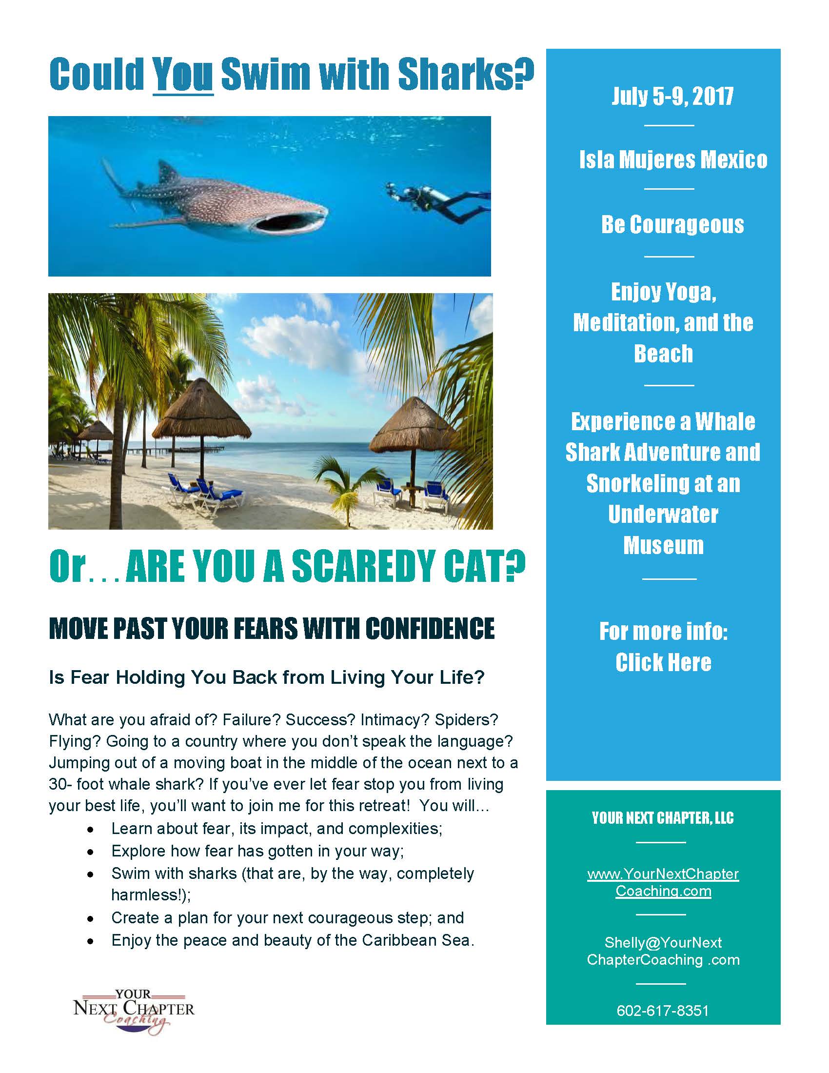 scardycatflyer